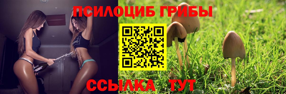 Златоуст  Галлюциногенные грибы прущие грибы  Вход с VPN  Псилоцибиновые грибы прущие грибы 